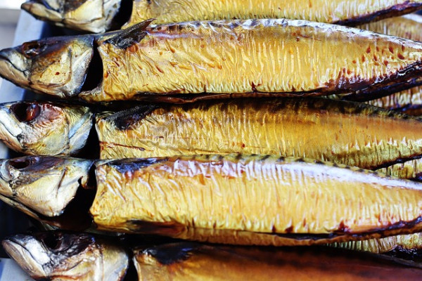 mackerel-g04d9ad8bb_640