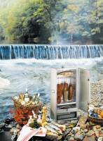 Peetz Räucherofen 16 Fische mit Tür aluminiertes Stahlblech 28 x 39 x 75 cm
