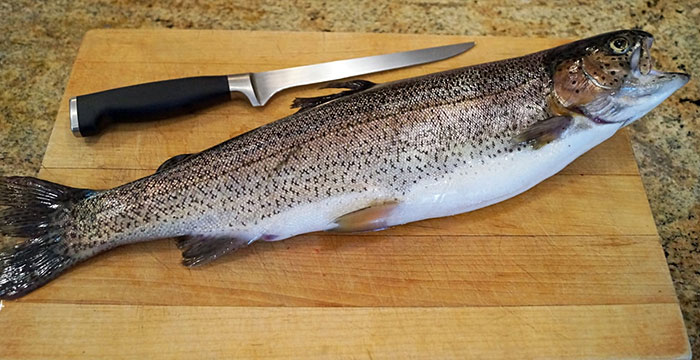 Messer / Fischmesser